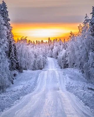 Красивые картинки зимы на аву фотографии