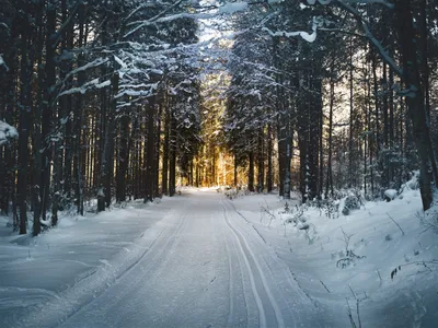 Красивая зима картинки - 65 фото