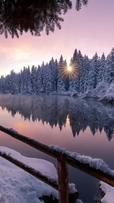 Природа зима - 69 фото