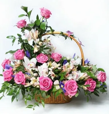 Невероятно красивые композиции 💕🦄🫶🏻 Заказывайте Эксклюзивные цветы и  подарки от Don Pion, находясь в ЛЮБОЙ точке… | Instagram