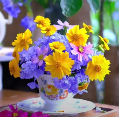 Это МОЙ день!: Как составить красивые цветочные композиции в вазонах?