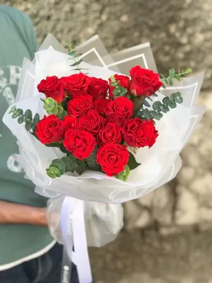 Красная роза😊🌹 | Красная роза, Красивые цветы, Красные розы