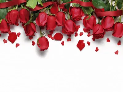 Красивые красные розы - 80 фото