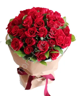 Красивые красные розы на темном фоне, близком расстоянии :: Стоковая  фотография :: Pixel-Shot Studio