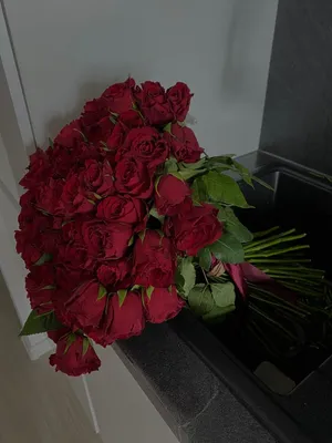 красные розы красивые красные розы Иллюстрация штока - иллюстрации  насчитывающей красивейшее, цветасто: 284426111
