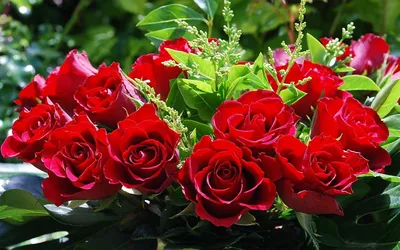Красивые красные розы в вазе на сером фоне :: Стоковая фотография ::  Pixel-Shot Studio