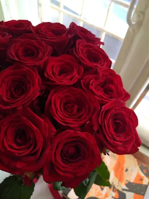 Красивые красные розы» — создано в Шедевруме