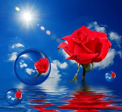 Красивые красные розы для моей влюбленности Стоковое Изображение -  изображение насчитывающей романско, листья: 105151059