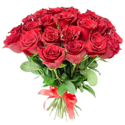 Букет 35 красных роз купить за 8 500 руб. с круглосуточной доставкой |  Мосцветторгком