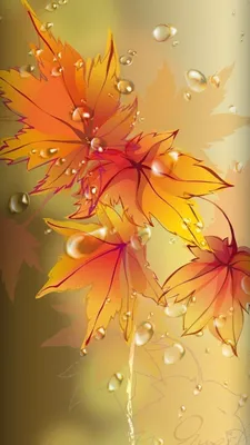 Фотографии Кленовые листья осенние Природа сезон года