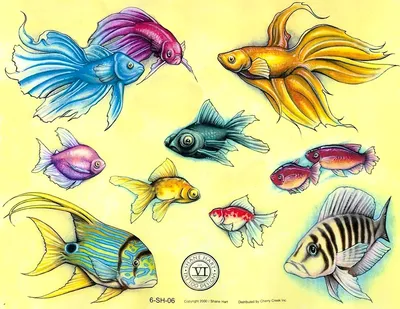 Узнать топ 10 аквариумных рыбок. Какие лучшие аквариумные рыбки для средних  аквариумов? | Ставрополь