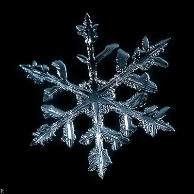 Замерзшее Окно Красивые Снежинки На Окне — стоковые фотографии и другие  картинки Абстрактный - Абстрактный, Без людей, Блестящий - iStock