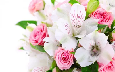 Красивые цветы на 8 марта - купить в Москве букеты на 8 марта с бесплатной  доставкой 24/7 от интернет-магазина \"Повод Найдется\"