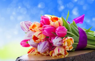Обои на рабочий стол Красивый букет разноцветных тюльпанов на Международный  Женский день 8 марта, обои для рабочего стола, скачать обои, обои бесплатно