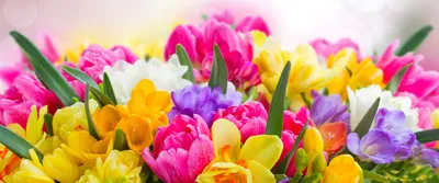 Фон рабочего стола где видно красивые красочные весенние цветы, букет,  ultra hd 4k wallpaper