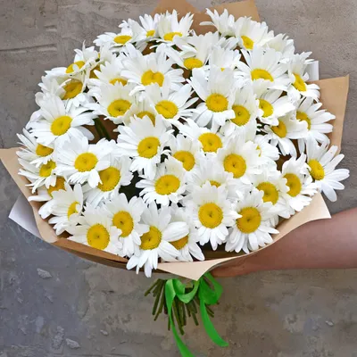 Flowers1 - Шикарный букет из 25 ромашек, зелени в упаковке всего за 1500!  Ловите момент, друзья. Доставка по городу до 20.00 - бесплатная! | Facebook