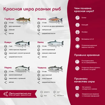 Красная икра лососевая \"Gorchakov Group\", 50 г ǀ ikra-beluga.ru