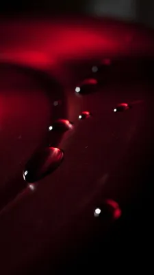 Чехол накладка POLO RACQUET CLUB Jockey Красная на iPhone 7 Plus — Кожаная