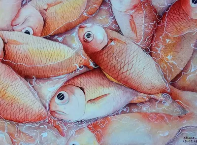 Сильвия Purnama - Красная рыба: Описание произведения | Артхив