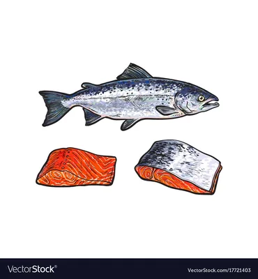 Запеченная Красная Рыба на Праздничный Стол. Рыба в Духовке - пошаговый  рецепт с фото на Готовим дома