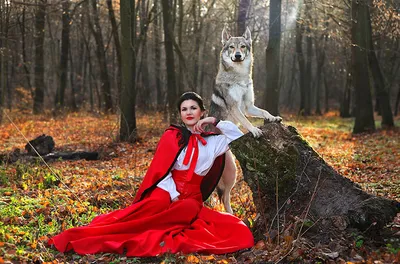 Волк и Красная Шапочка • Фотосессия с волком