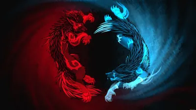 Черно-сине-красный символ свободы: В Республике отметили День флага ДНР -  KP.RU