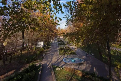 Парк Галицкого в Краснодаре на закате в конце марта