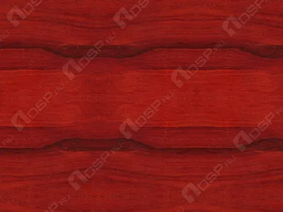 огромное красное дерево растет рядом со скромным домом Стоковое Фото -  изображение насчитывающей поясом, смогите: 217054998