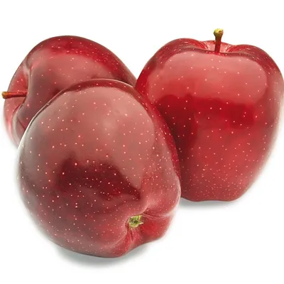 Муляж \"Яблоко красное\" 6х7 см купить в Чите Фрукты в интернет-магазине Чита. дети (2337058)