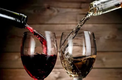 Красное или белое вино: что полезнее с научной точки зрения?