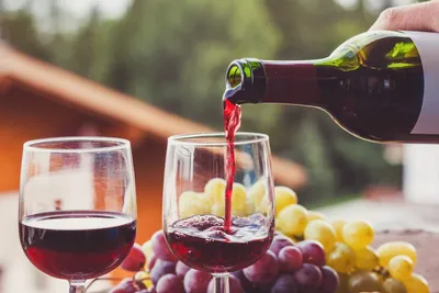 Хорошее красное сухое вино - названия, цены, советы по выбору