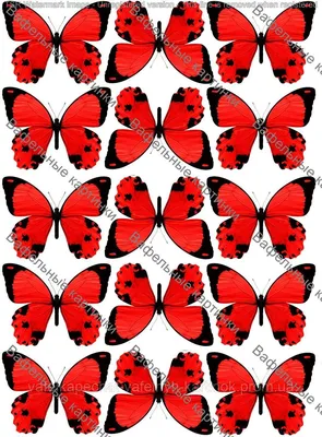 Съедобная картинка красные бабочки (ID#1103527336), цена: 45 ₴, купить на  Prom.ua