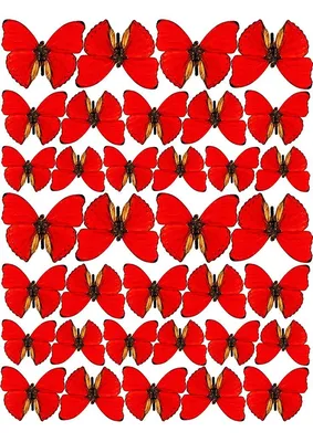 красные бабочки | Бумажные бабочки, Фотоподарки, Бесплатные трафареты