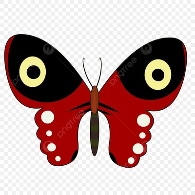Красные бабочки | Пикабу