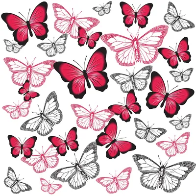 красные бабочки на белом фоне. тропические мотыльки. насекомые для дизайна.  акварельные краски Иллюстрация штока - иллюстрации насчитывающей яркое,  бабочки: 214615653