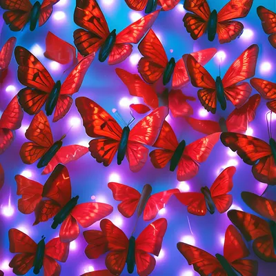 Фото бабочка красных животное Рисованные