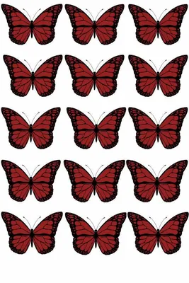 Красные бабочки | Шаблон бабочка, Фотоподарки, Бумажные бабочки