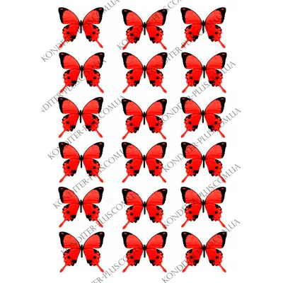 вафельная картинка бабочки 18 - Кондитер+