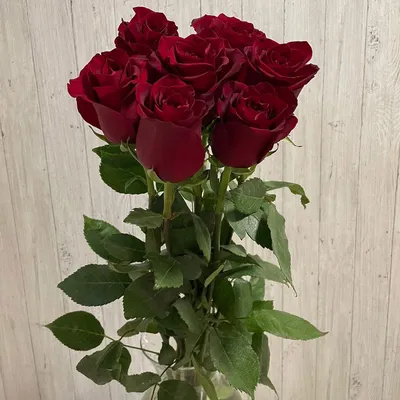 Купить красные розы | Недорогие букеты в Новосибирске