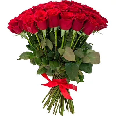 Красные Розы 60 см | купить недорого | доставка по Москве и области