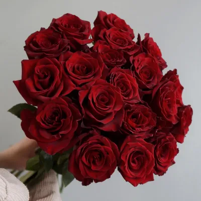 Красные розы в коробке (M) 49 роз - купить в интернет-магазине Rosa Grand