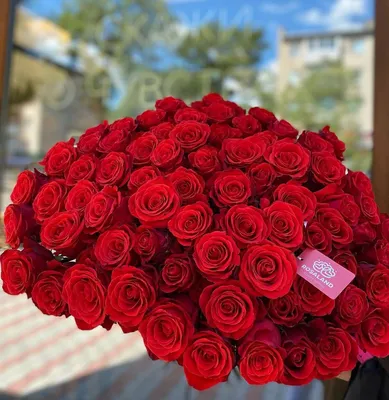 ✓ Красные розы в шляпной коробке ◈ Купить он-лайн в интернет-магазине  цветов Цветариус ◈ Цена - 7 600 руб. ◈ (Артикул - бк061)
