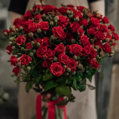 Красные розы (Эквадор,Голландия) Freedom,Explorer,Tinto,Sexi red