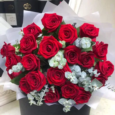 Букет 51 красных роз Эль Торо купить за 10 430 руб. с круглосуточной  доставкой | Мосцветторгком