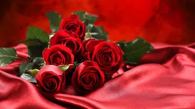 Красные розы Россия 70 см