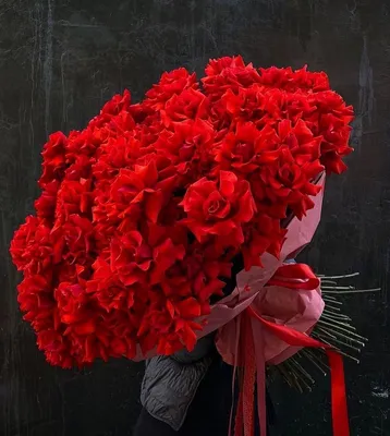 Красные розы | Red roses, Beautiful rose flowers, Flowers bouquet gift