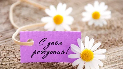 Поздравление с днем рождения коллеге женщине - открытка, картинка, фото -  Телеграф
