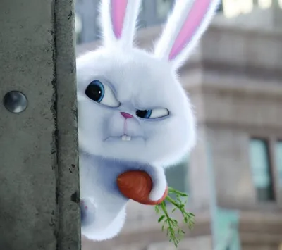 Кролик снежок (43 фото) | Снежок, Кролик, Мультфильмы