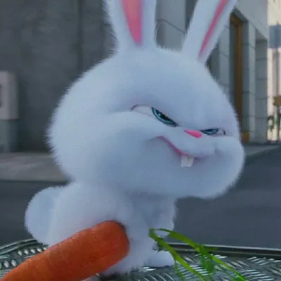 Снежок заяц арт с морковкой - 63 фото