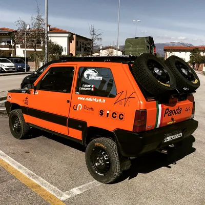 Панда боец арт - 46 фото